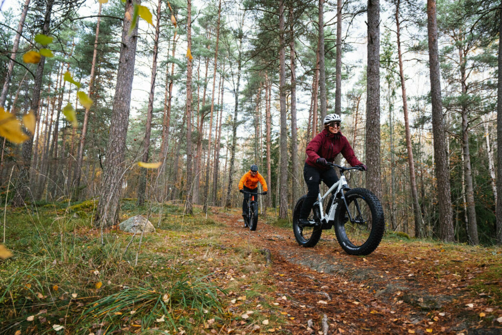 E Fatbike in summer and autumn
